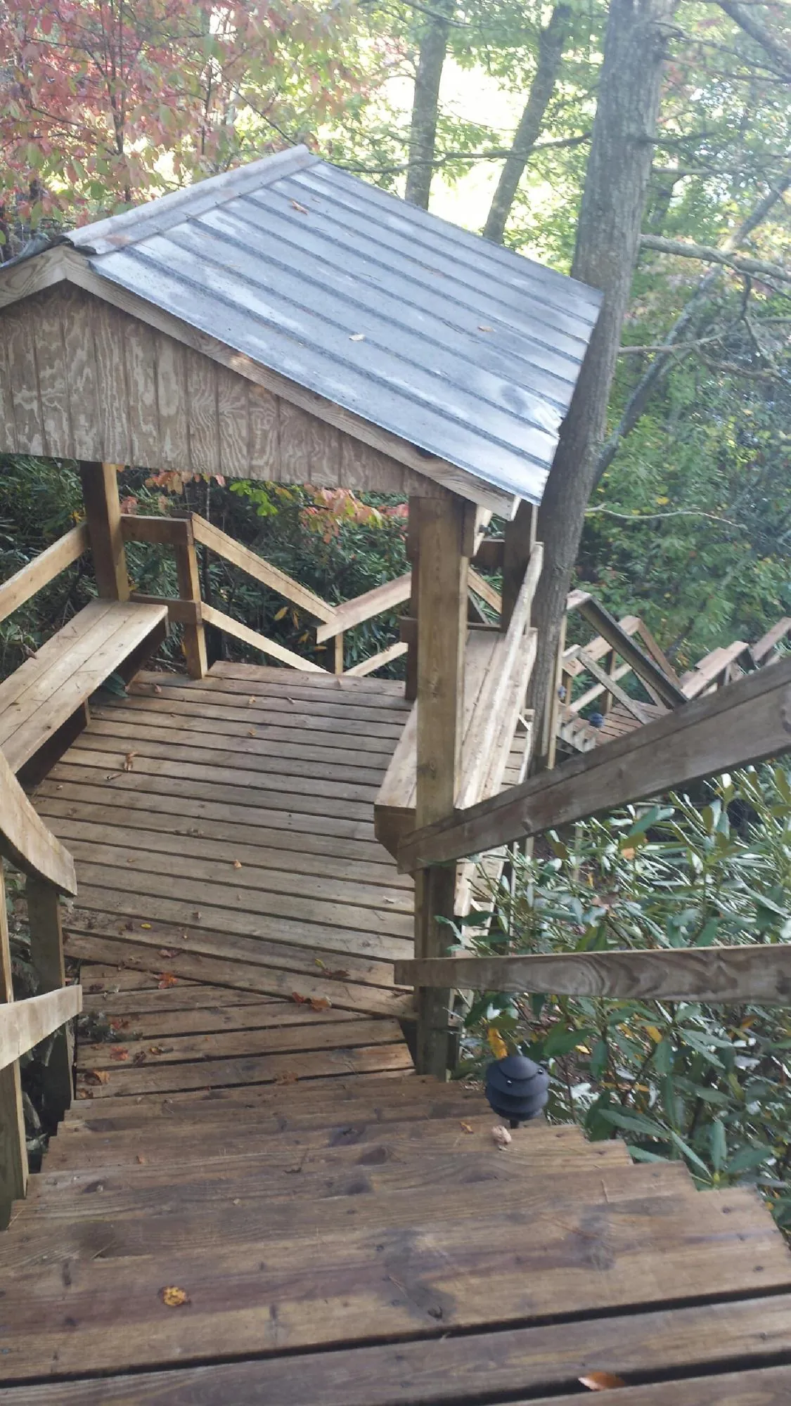 Metal roofed shelter over wooden steps on a wooded walkway — Skylight Repair & Installation work by our crew in Washington Grove